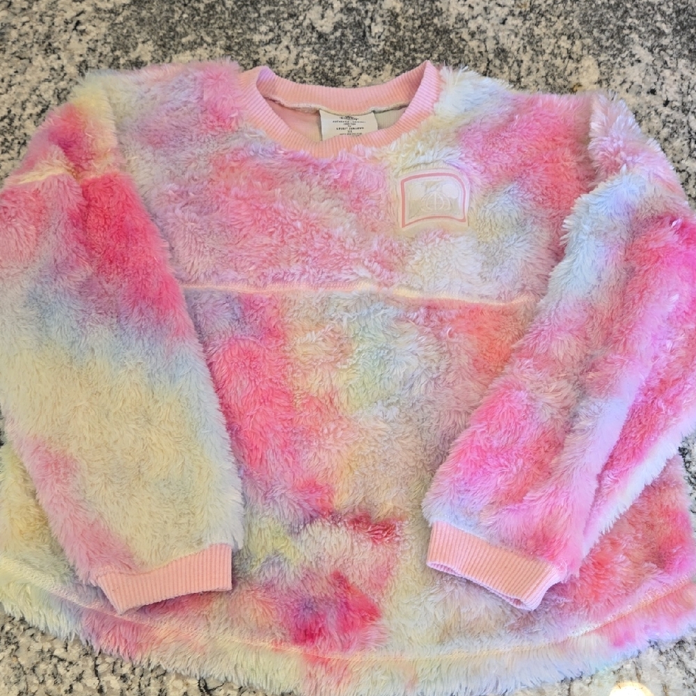 Disney Spirit Jersey